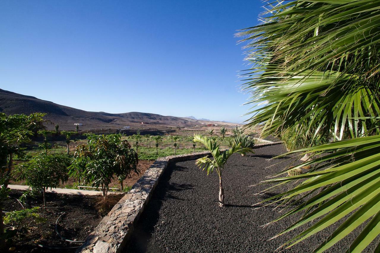Finca Arbequina Pajara  ภายนอก รูปภาพ