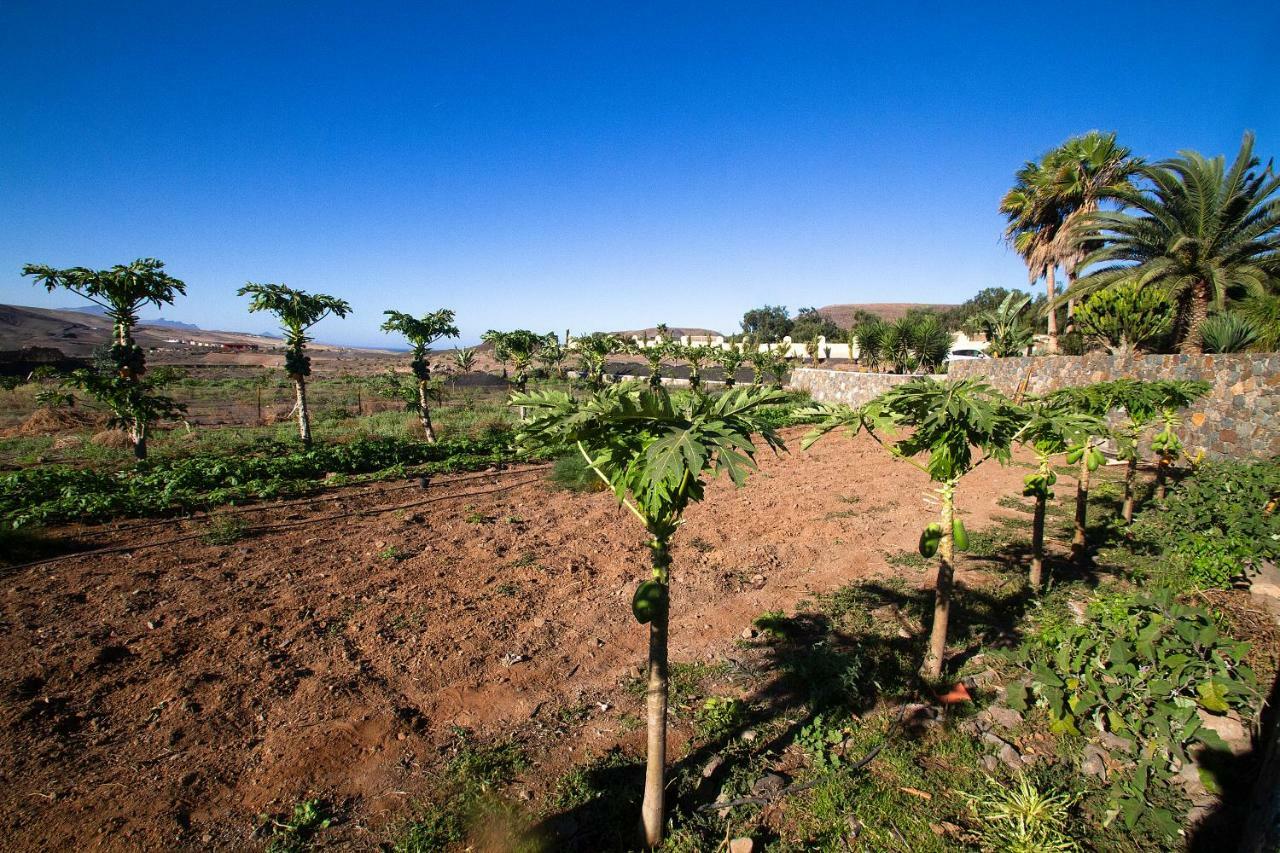 Finca Arbequina Pajara  ภายนอก รูปภาพ